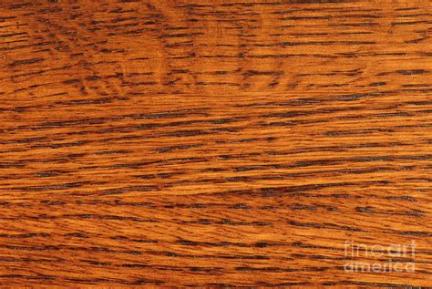 Quarter Sawn Oak Photograph By Mark Winfrey Fine Art America