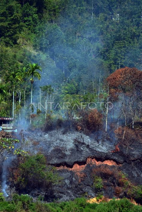 Pembakaran Lahan Kerinci Antara Foto