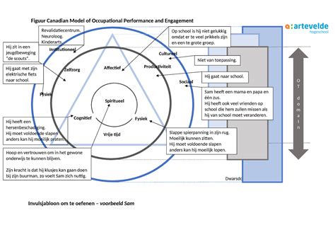Cmop E Figuur Leeg Figuur Canadian Model Of Occupational
