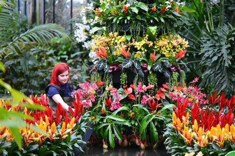 Visit Kew Gardens First Ever Indonesian Orchid Festival Culture