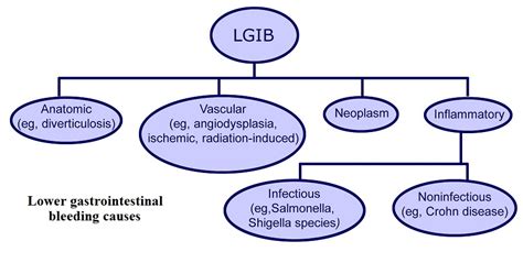 Hematochezia Rectal Bleeding : Causes, Symptoms, Treatment and Prevention – Drug Details