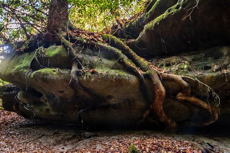 Never Gonna Let You Go At Pickett Civilian Conservation Flickr