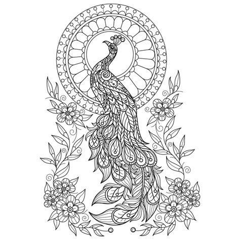 Peacock And Moon Hand Drawn For Adult Coloring Book 10550064 Vector Art At Vecteezy