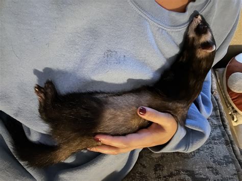 Weird obsession. Never thought I would bond w/ & love her so much!! My