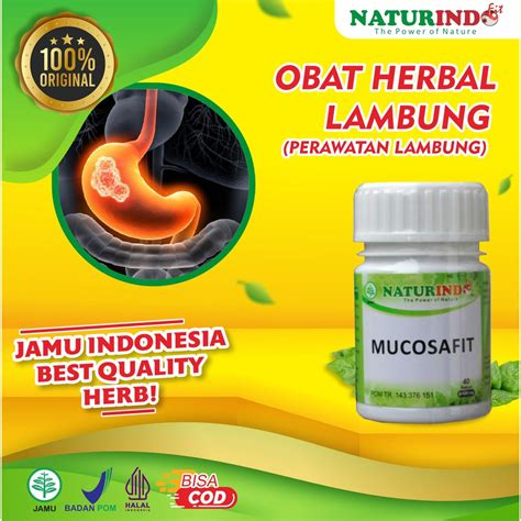 Jual Obat Asam Lambung Ampuh Maag Gerd Masuk Angin Kronis Herbal Paling