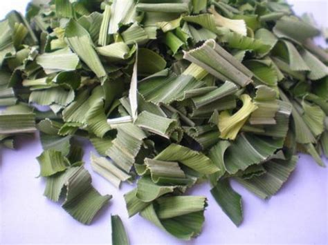 Feuilles De Pandan Séchées Pandan Parfumé Pandom Wangi Leaf Tisane à