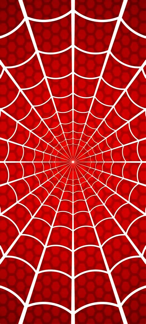 Sipder Man Red And Black Spider Spiderman Web Animes Yandere Red