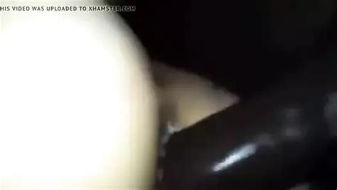 Egyptian Porn Videos XHamster