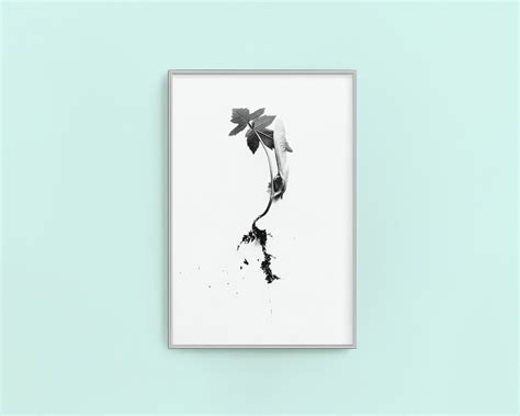maple tree seedling print botanical print botanical decor minimalist