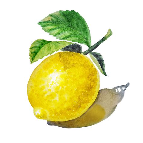 What Colour Goes With Lemon Paint At Andrew Godina Blog