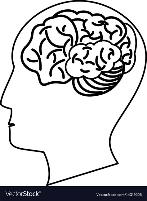 Human Head Brain Outline Royalty Free Vector Image