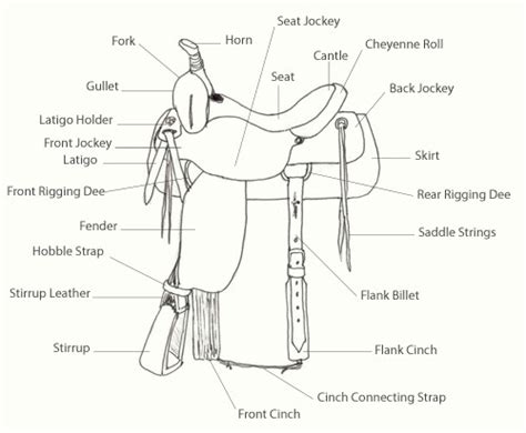 Saddle Parts | Davy Rippner