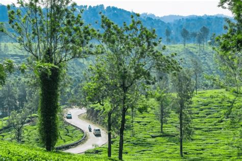 India In My Diary Things To Do In Wayanad Kerala