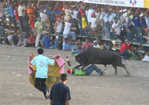 Muerto En Corralejas Un Hombre Muere Al Ser Embestido Por Un Toro En