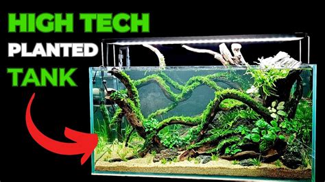 How To Easy High Tech Planted Tank Setup Aquascape Tutorial For