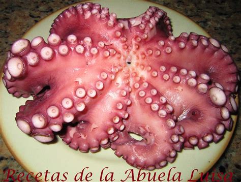 COCER PULPO Recetas De La Abuela Luisa