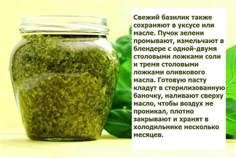 Базилик в масле на зиму | Приправы домашнего изготовления, Целостное ...