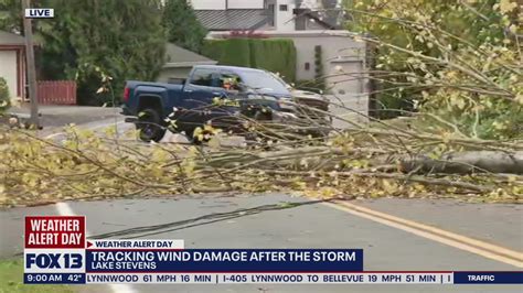 Tracking Wind Damage After Severe Storm In Puget Sound Fox Seattle