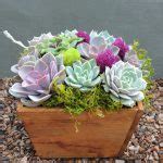 Summer Wood Box Succulent Arrangement Urban Succulents