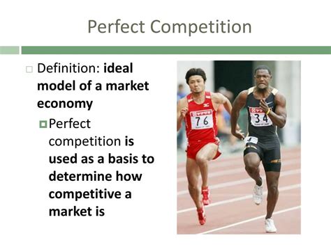 Ppt 7 1 What Is Perfect Competition Powerpoint Presentation Free