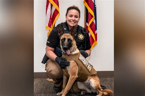 Sweetwater County Sheriffs K9 Gets Donation Of Body Armor Casper Wy