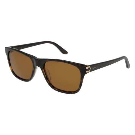 Cartier Ct0001s 002 Havana Sunglasses Man