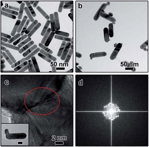 TEM Images Of A Au Nanorods B AuNRAuNP Dimer After Treated With