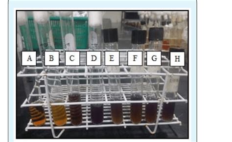 Lysine Decarboxylase Test A Uninoculated Tube B P Vulgaris