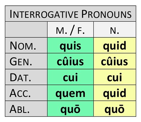 Latin Pronouns Relative Interrogative Indefinite Dickinson College Commentaries