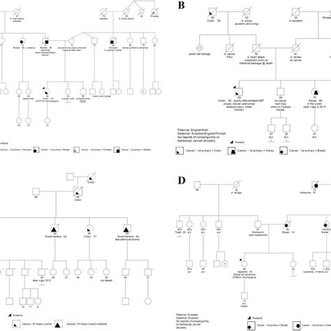 Pedigrees Caption A Pedigree Of Patient With Myh Associated Polyposis