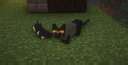 Cuter Cats Minecraft Texture Pack