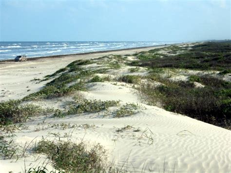 Corpus Christi Tx North Padre Island Photo Picture Image Texas At City