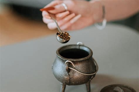 A Comprehensive Guide To Aphrodisiacs Spice Up Your Love Life Biird
