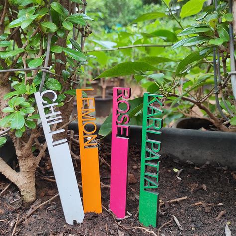 Plant Markers for Plants Plant name tags Planters name | Etsy