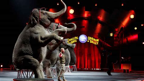 El Circo Estadounidense Ringling Bros Echa El Telón Tras 146 Años De