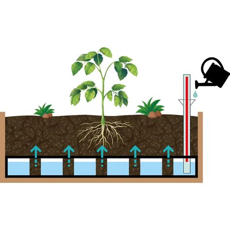 Vegtrug 12m Raised Garden Bed Self Watering Kit Ebay