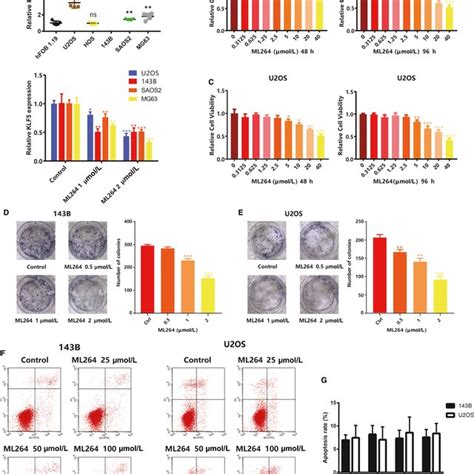 Ml264 Inhibits Proliferation Of 143b And U2os Cells Without Inducing