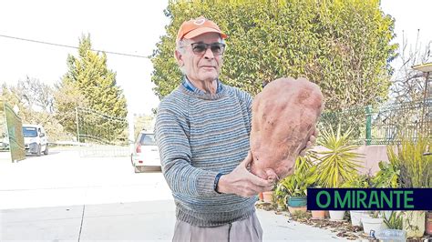 O MIRANTE Vídeo Uma batata 8 quilos colhida por um homem que