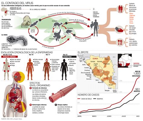 Contagio Del Virus Del Ébola Fisiogestionaes Consultoría Y Gestión Sanitaria