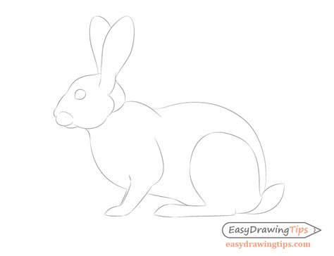 How To Draw A Rabbit Step By Step Tutorial Easydrawingtips