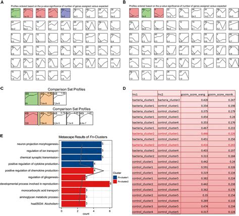 Frontiers Time Course Transcriptome Analysis Of Gingiva Derived