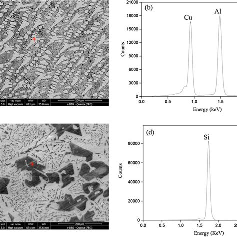 Phase Diagram Of Al Cu A And B Al Si Binary Alloy The Blue Lines