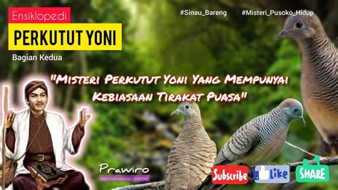 Misteri Perkutut Yoniyang Mempunyai Kebiasaan Tirakat Puasa