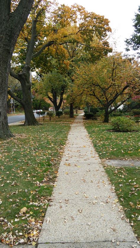 Pin By Jules P On Autumn Sidewalk Structures Autumn