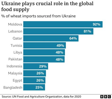 How Can Ukraine Export Its Harvest To The World