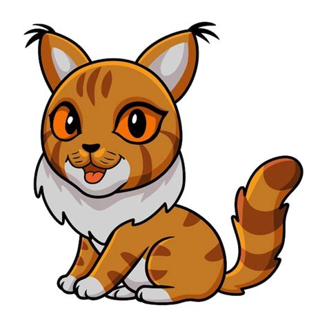 Premium Vector Cute Maine Coon Cat Cartoon