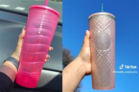 Starbucks Bubblegum Tumblers Sschittorgarh