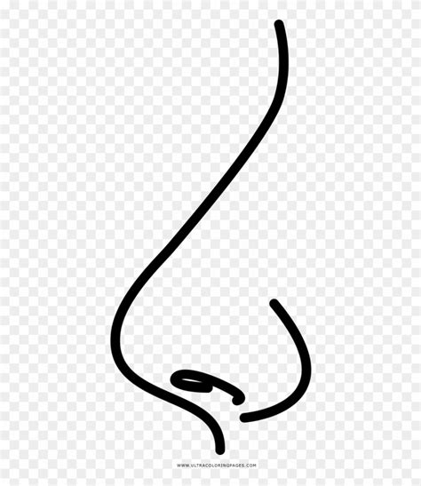 Download High Quality Nose Clipart Coloring Transparent Png Images