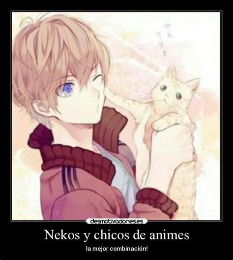 Gatos Anime •anime• Amino