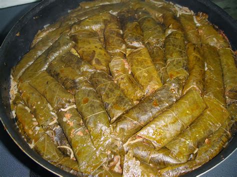 Maryam S Culinary Wonders 525 Iraqi Dolma